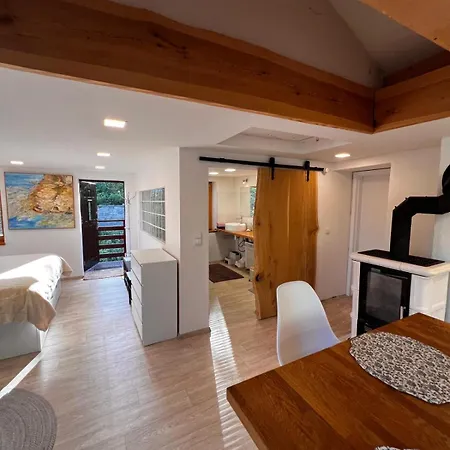 Appartement U Koupaliste V Podkrusnohori